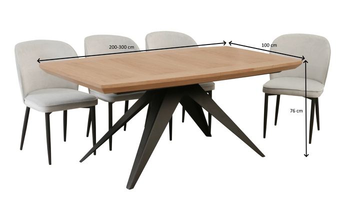 Ausziehbarer Tisch auf Metallgestell 100 x 200–300 cm Modell T56