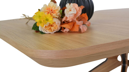 Ausziehbarer Eichentisch 110 cm x 200–300 cm, Modell T78